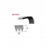 Correa Lavadora Zanussi 1280 J6 Elastica 481281728296