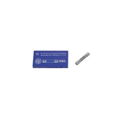 Fusible Microondas Standard 6,3x32mm 10A Caja 10 Unidades Ceramico